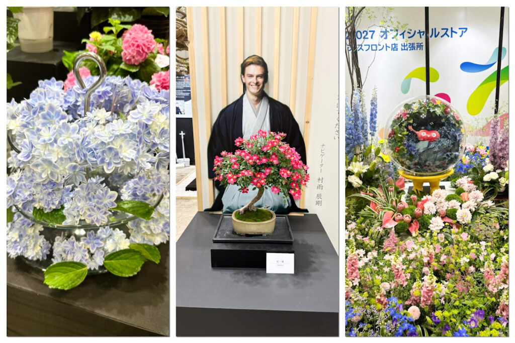 紫陽花のアフタヌーンティー風展示や盆栽など、“庭”以外の植物展示
