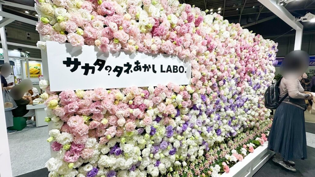 壁一面に飾られた約1000本のトルコ桔梗の展示（サカタのたね）