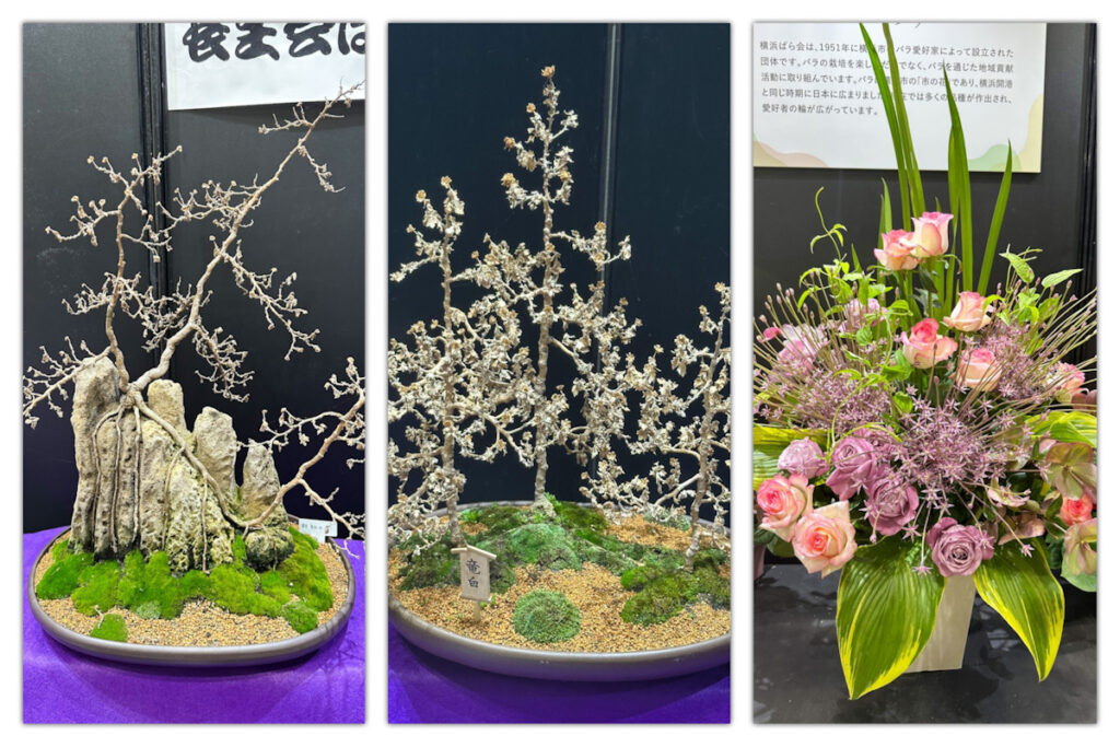 枯れ枝の渋さが魅力の盆栽と、立体的に生けられたバラのアレンジメント展示
